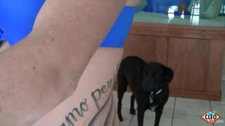 Ký em Bé cao thích cho một bàn tay giúp đỡ khi lớn cần phải phát hành căng thẳng, thậm chí nếu cô ấy có thể có được ấm áp hơn to! Rất đẹp! Đầy Đủ Video Và Cả Của Nó Lượn @ ItsCleoLive.com!